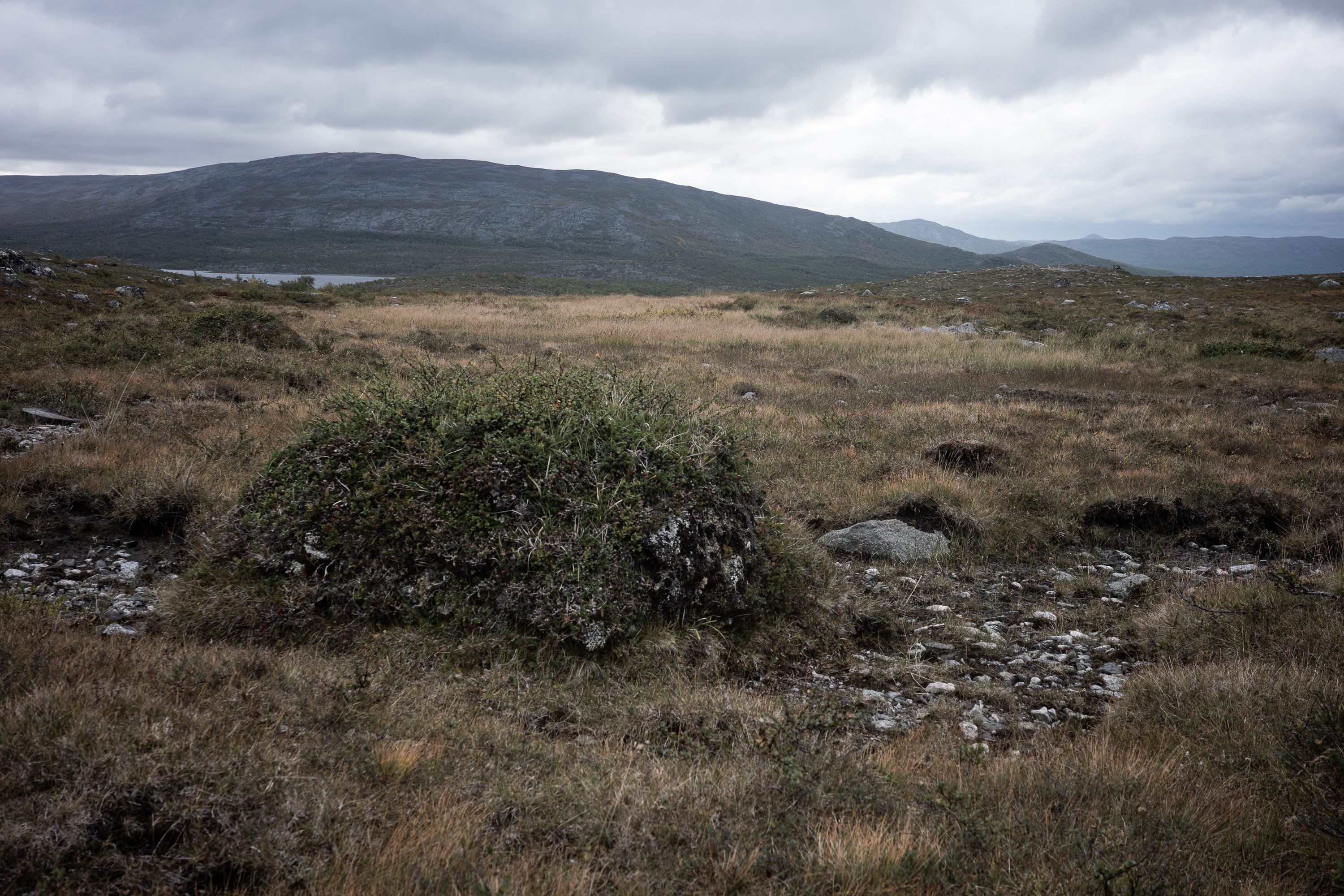 Boulder in riverbed (2023).