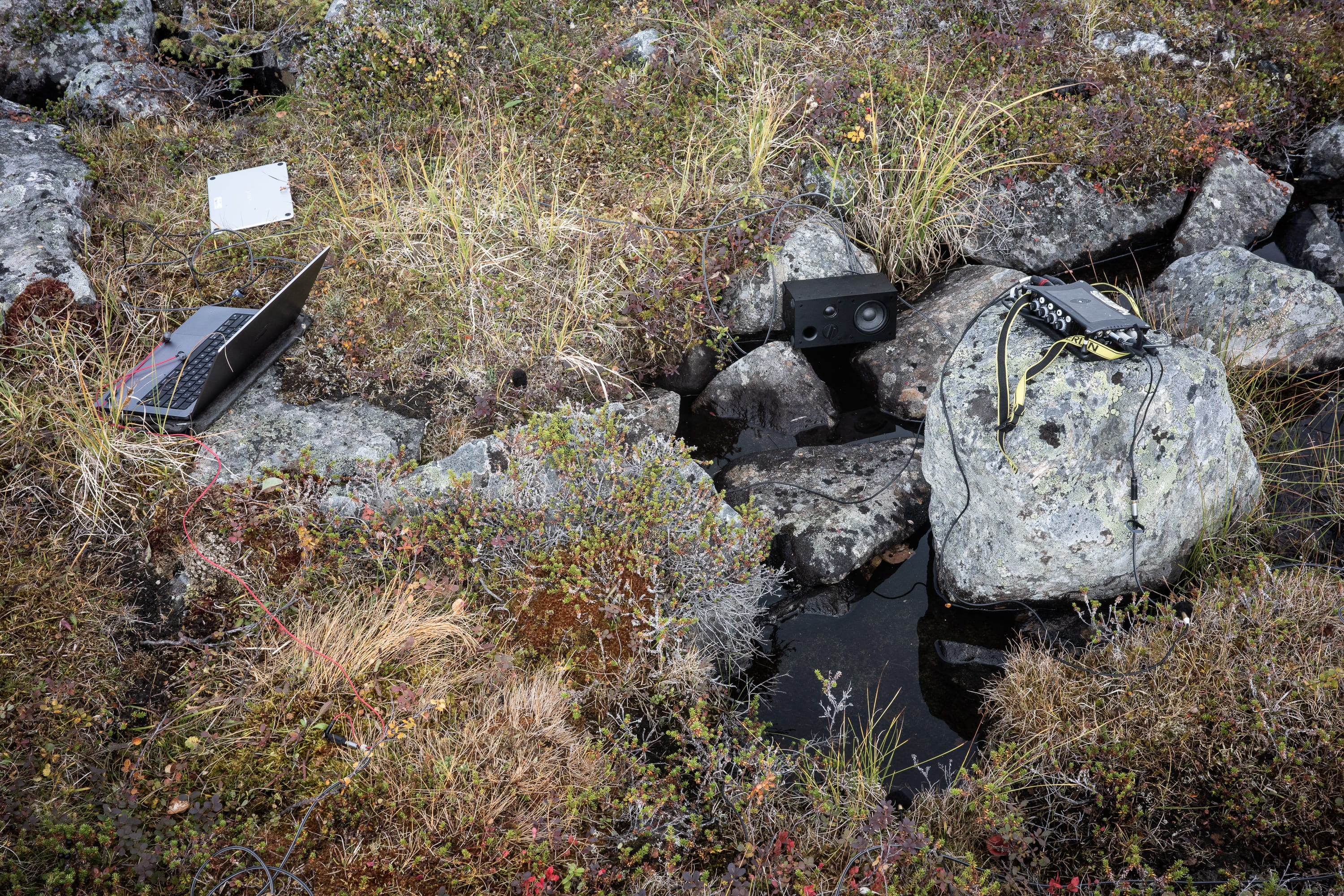 …and at Ice-age pond.