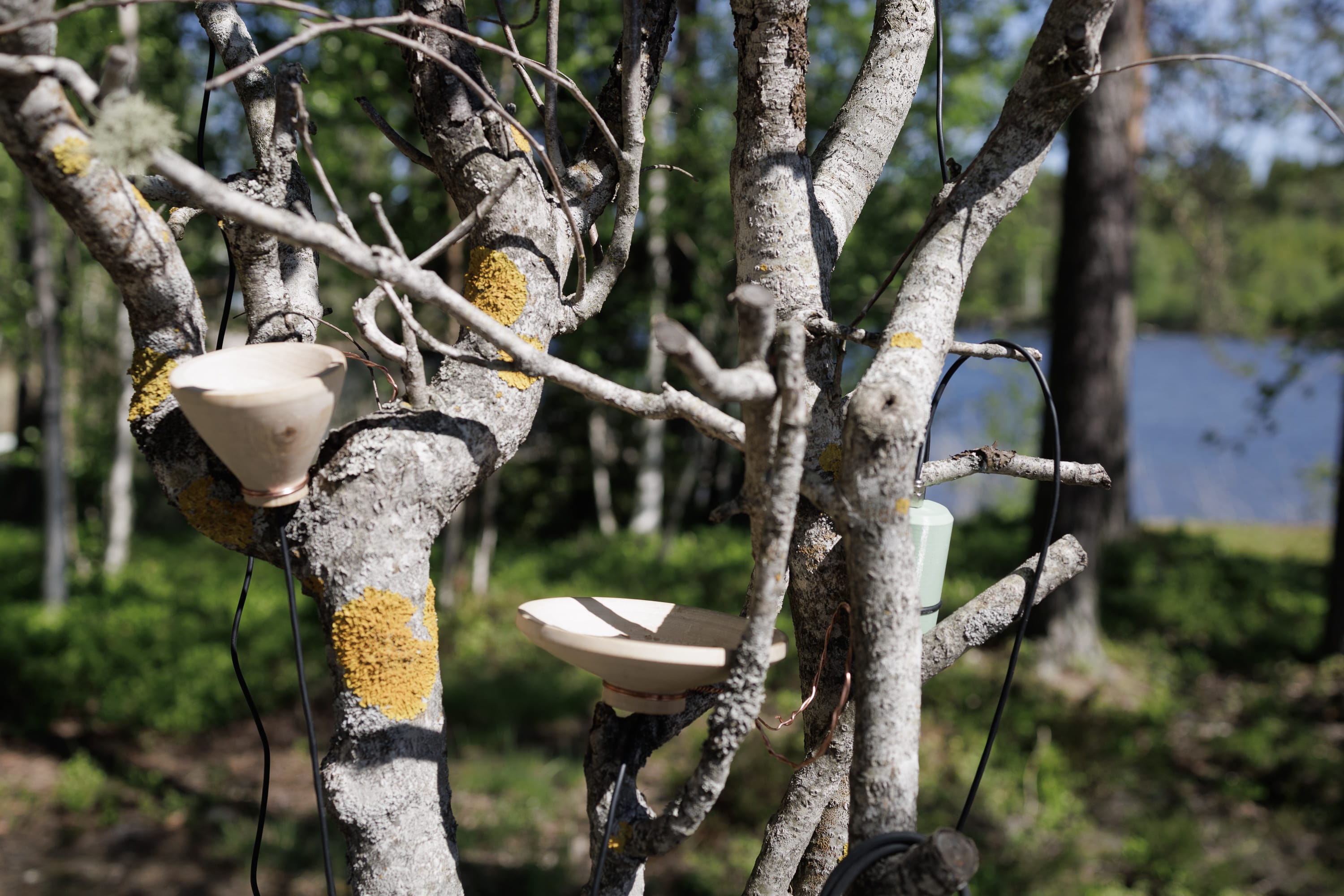 Several electro-mechanic listening devices combine into an integrated listening experience.